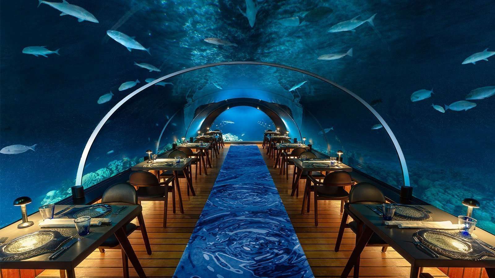 Inside the glass 5.8 undersea restaurant, diners seated along the wall as fish pass